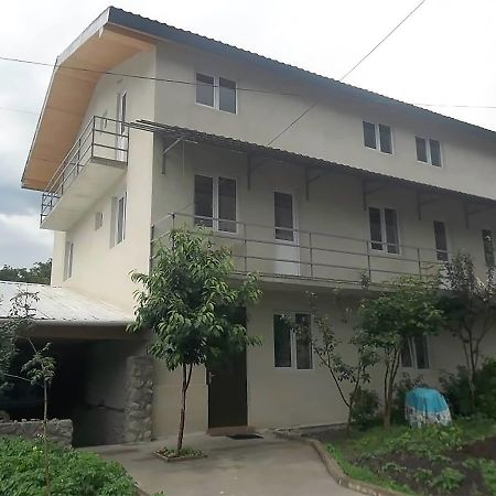 Hotel Nini 카즈베기 외부 사진
